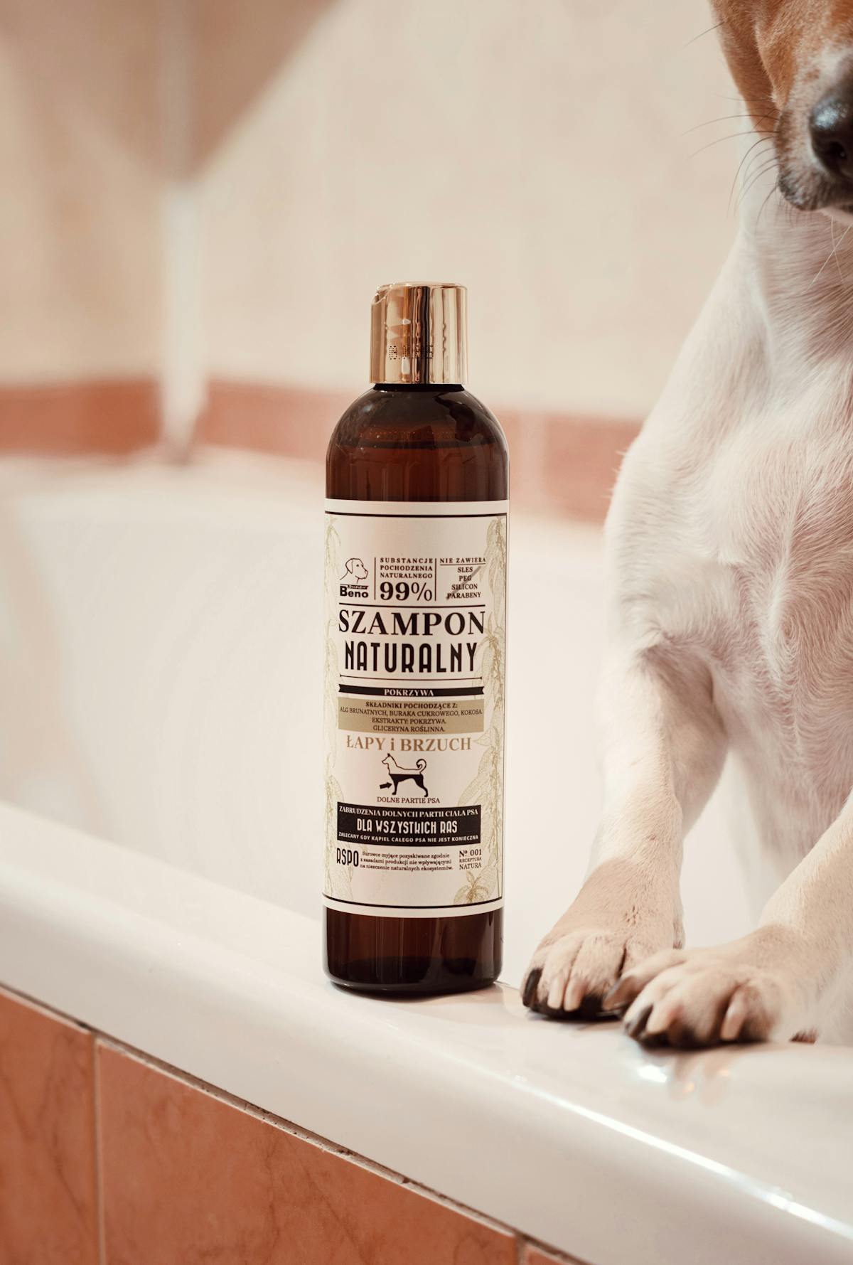 Hochwertiges Hunde-Shampoo als Produktaufnahme.
